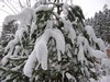  Winter in Sachsendorf 