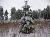  Spaziergang im Wald bei Sachsendorf 