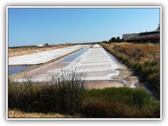 21 Saline in Tavira