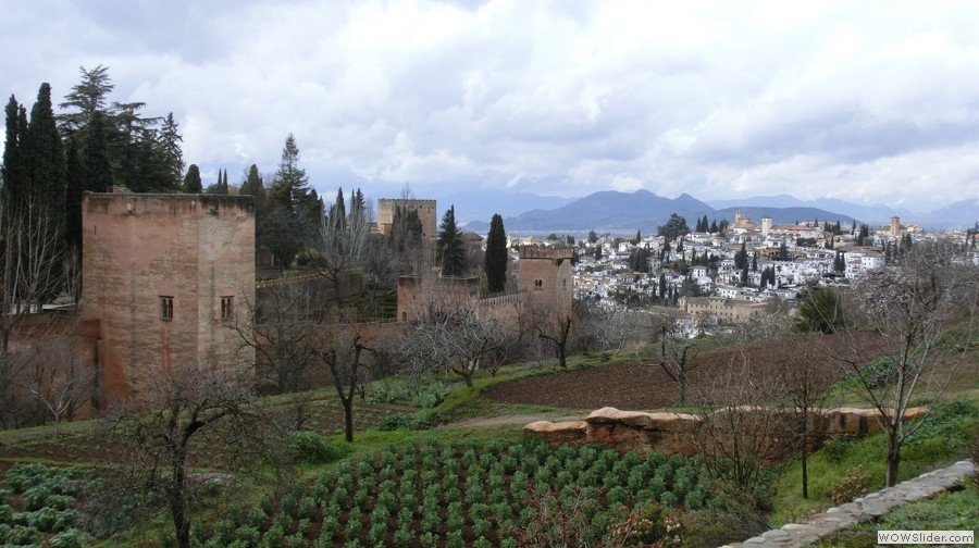 Blick auf Granada