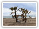 03-am Strand