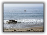 25-Im Meer