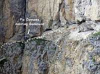  Ausstieg auf dem Gamsband 