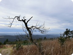 10-Herrliche Natur