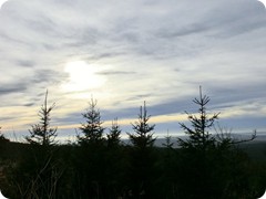 11-Abendstimmung