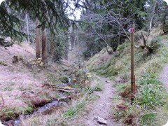 24-Frenzeltour