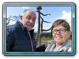 43-Ein besonderer Baum