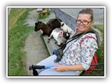 05-Wildpark Aurach
