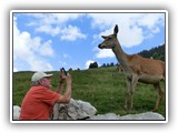 06-Wildpark Aurach