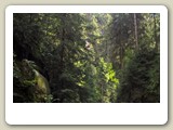 WP_20170808_14_12_50_Pro