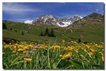 http://www.w-hillmer.de