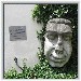  Der besondere Kopf von Passau 