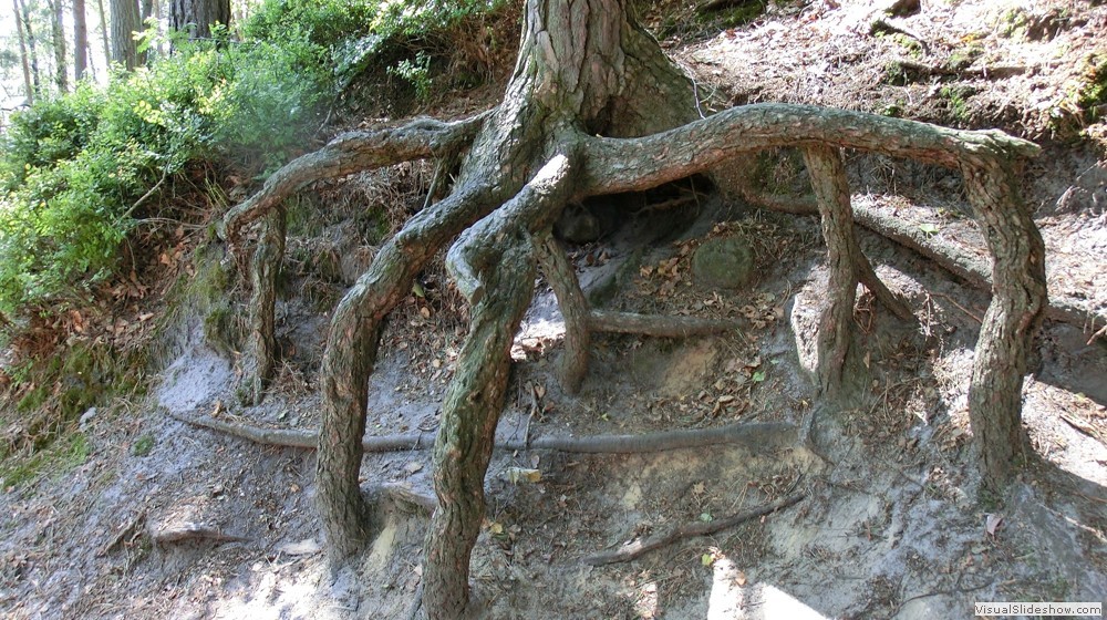 25-Natur pur