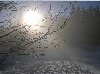  Der Nebel lichtet sich am Arbersee