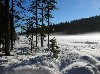 Am Arbersee